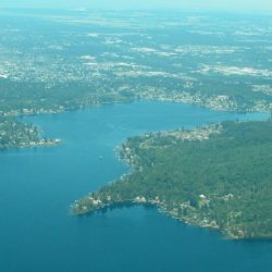 Remediation efforts for lake whatcom