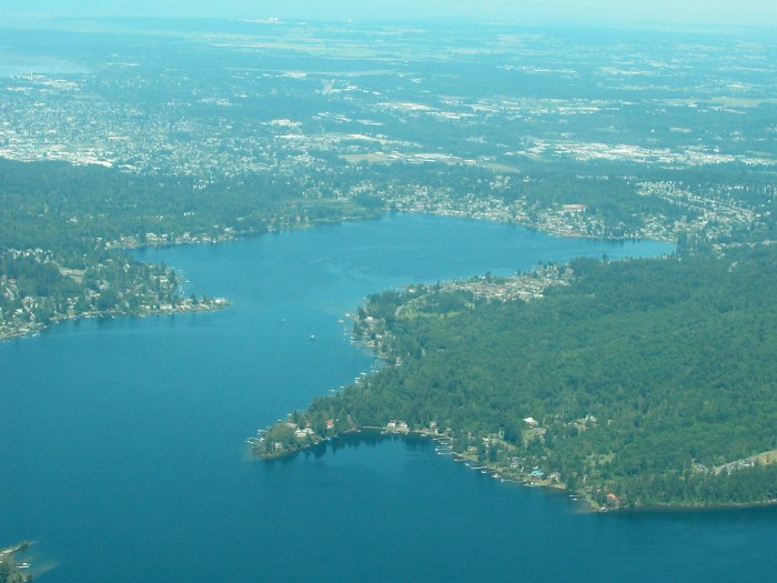 Remediation efforts for lake whatcom