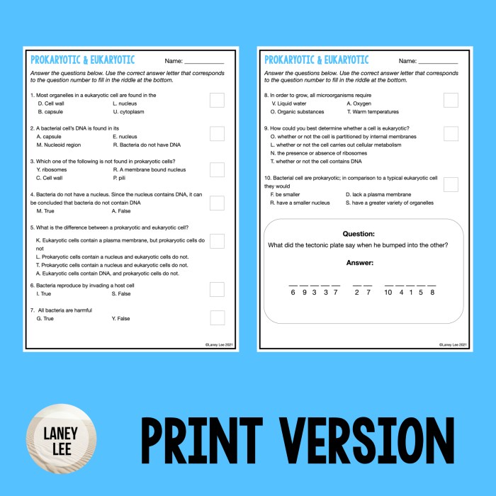 Prokaryotic cells worksheet answer key