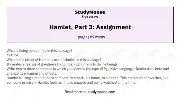 Hamlet part 6 applying literary criticism