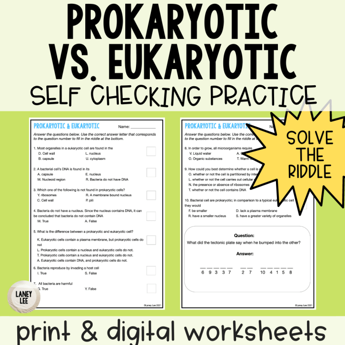 Prokaryotic cells worksheet answer key