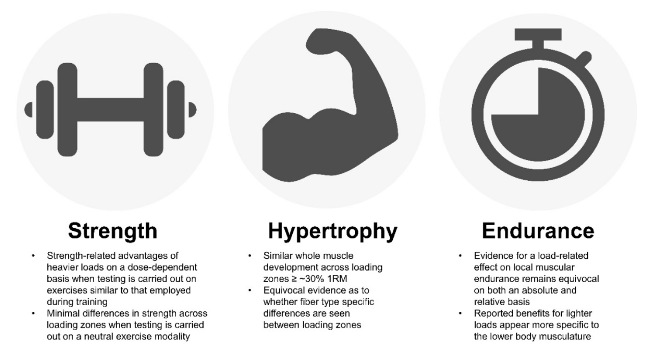 Muscular strength is the quizlet