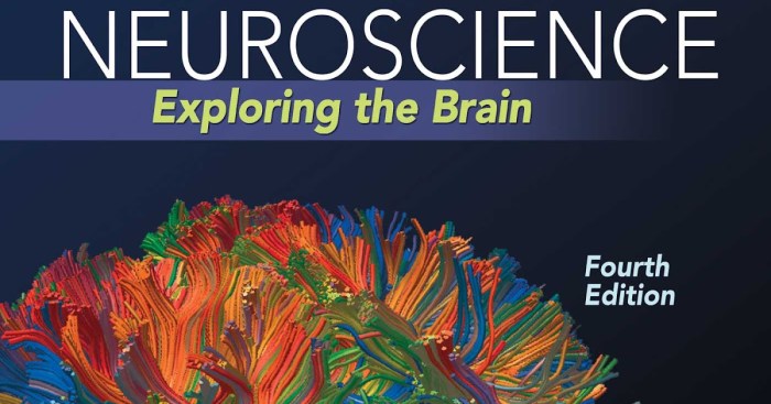 Neuroscience exploring the brain fourth edition