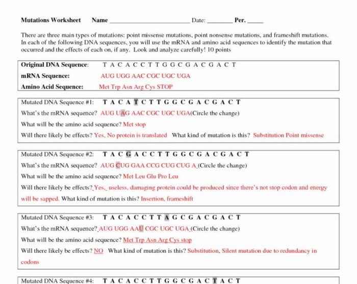 Chapter 11 dna and genes worksheet answer key