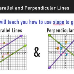 Parallel lines perpendicular intersecting worksheets worksheet transversals answers example