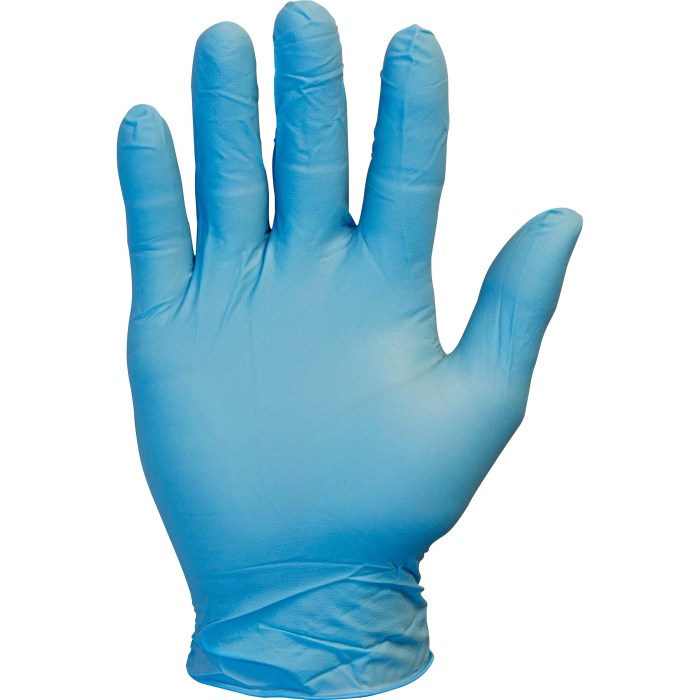 Gloves nitrile blue powder box medical large non case walmart