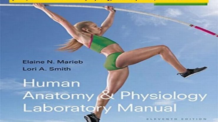 Human anatomy and physiology laboratory manual cat version pdf