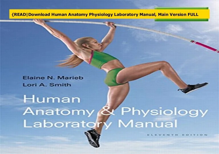 Human anatomy and physiology laboratory manual cat version pdf